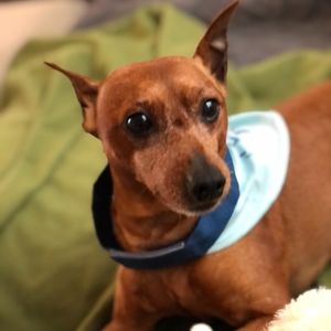 Meet your Posher, Rhonda